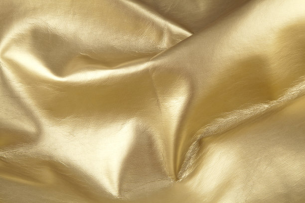 黄金皮革图片下载