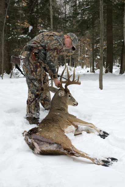 狩猎成功图片下载