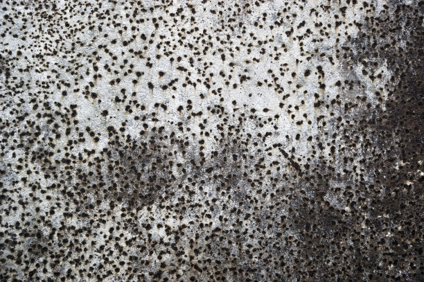 枯燥乏味的背景图片下载