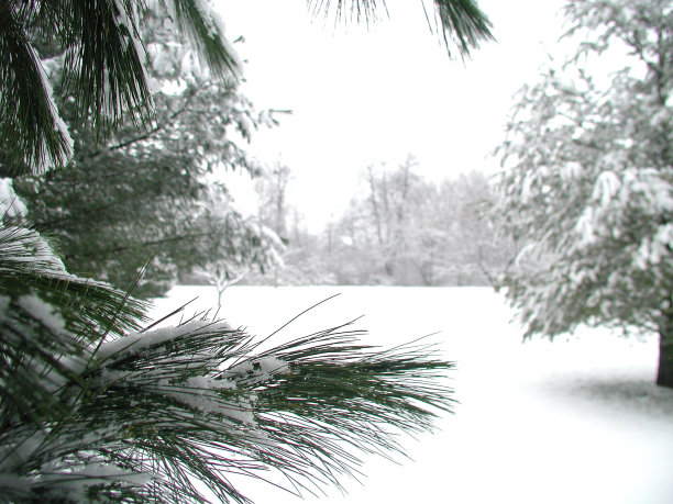 雪帧图片下载