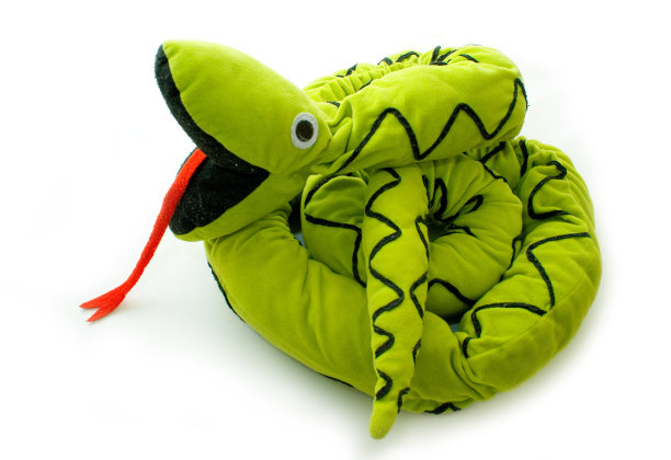 绿色巨泰迪蛇图片下载