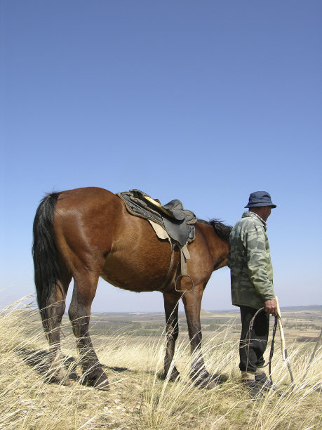 牧牛人图片下载