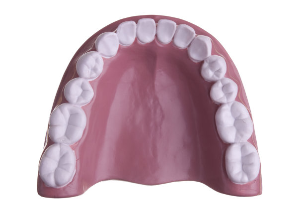 较低的牙齿模型图片下载