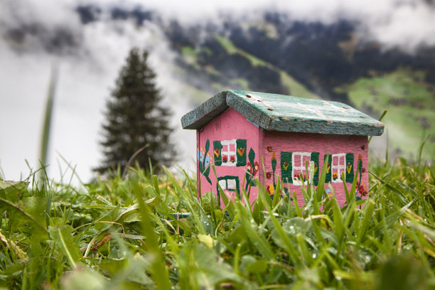 瑞士手工制作的玩具木屋在草云杉，山。图片下载