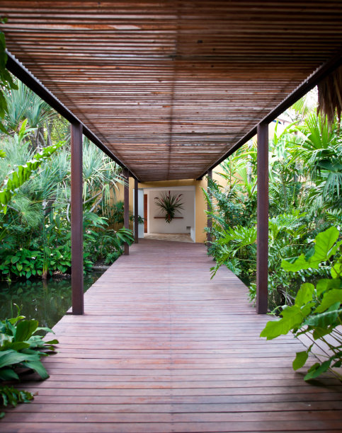 豪华酒店:绿树成荫的木板走廊图片下载