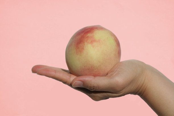 明媚的桃子图片下载