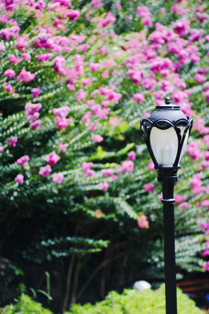 中央公园图片下载