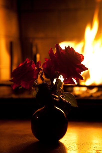 壁炉前的玫瑰图片下载