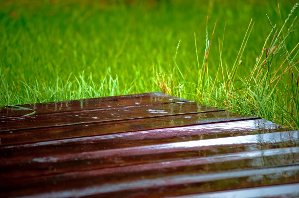 雨中的甲板和草地图片下载