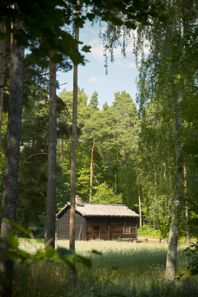 挪威森林中的木屋图片下载