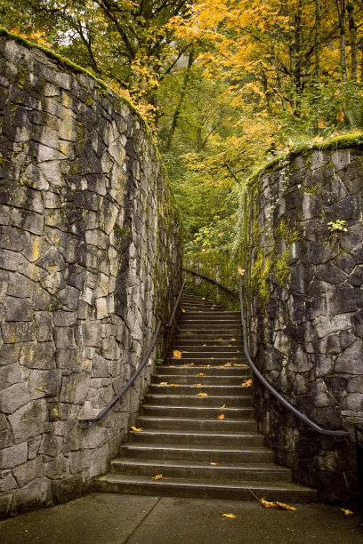 楼梯在秋天图片下载