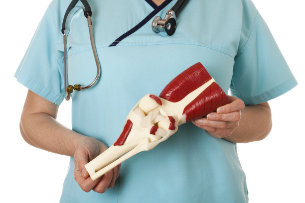 人的膝盖图片下载