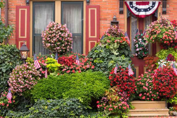 爱国的花园图片下载