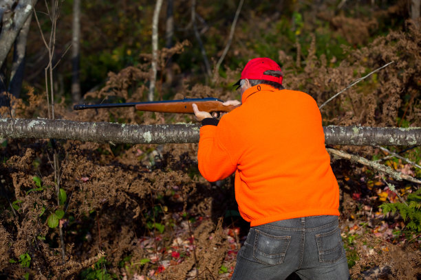森林里的高级猎人用步枪瞄准日落图片下载