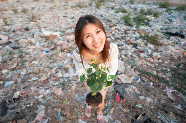 森林生活图片下载