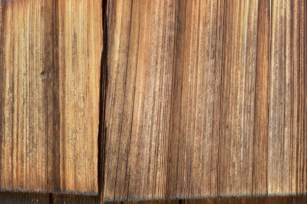 特写的老木背景图片下载