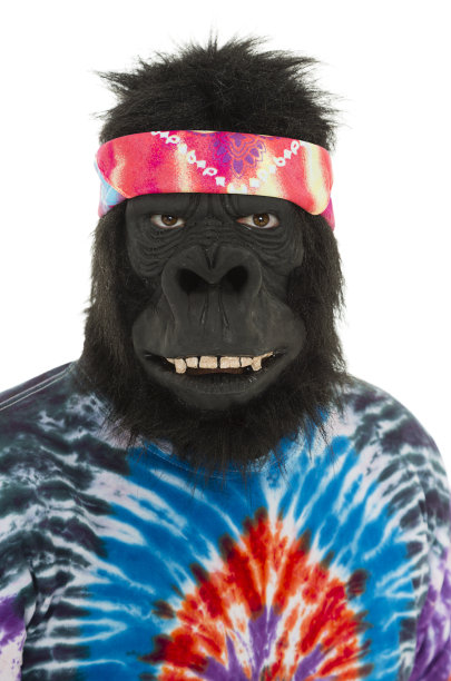 大猩猩嬉皮图片下载