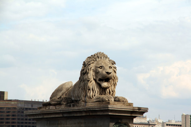 卫报狮子图片下载