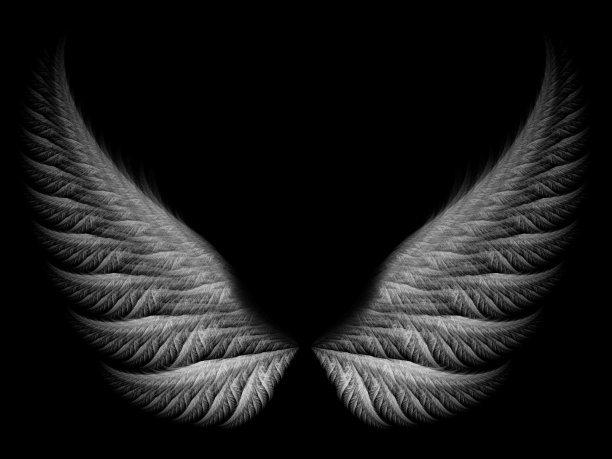 翅膀图片下载