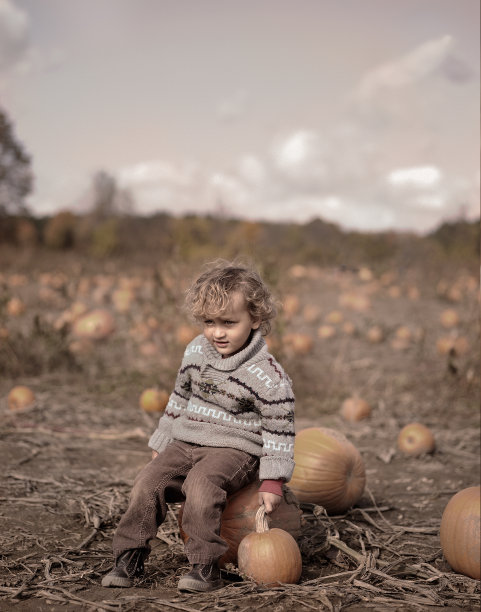 南瓜地里的小男孩图片下载