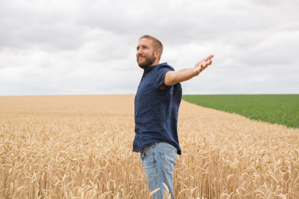 青年男子在麦田里自由自在图片下载