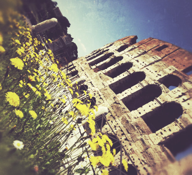 罗马的竞技场和夏天图片下载