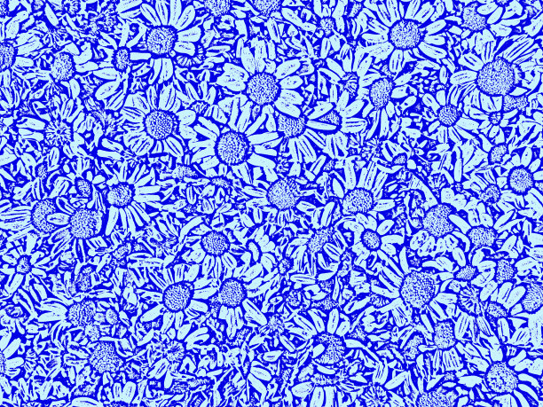 蓝花图案背景图片下载