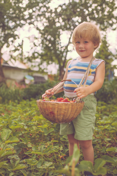 草莓可爱的男孩图片下载