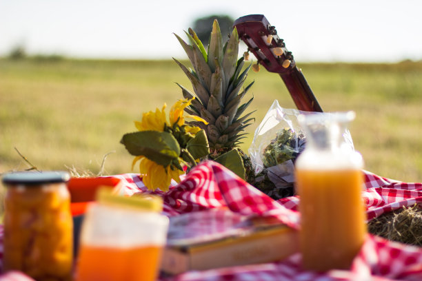 早餐在自然界中图片下载