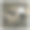伦敦的鸽子图片下载
