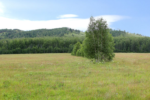 草地图片下载