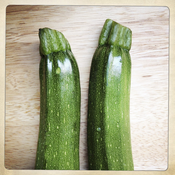 西葫芦图片下载