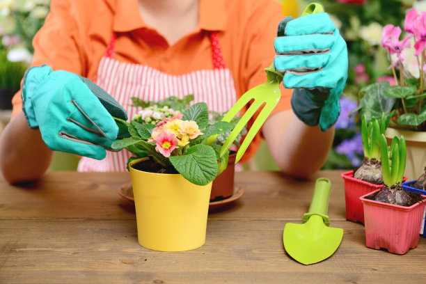 年轻女子种花图片下载