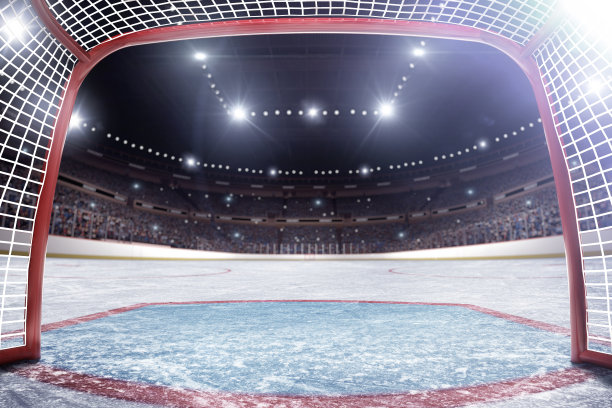 曲棍球领域图片下载