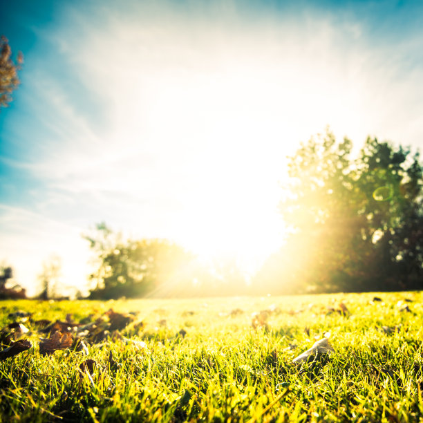 公园里的秋日图片下载