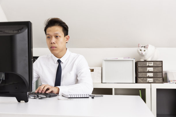 商人专心工作，猫在后台图片下载