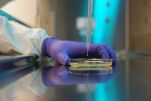 科学实验图片下载