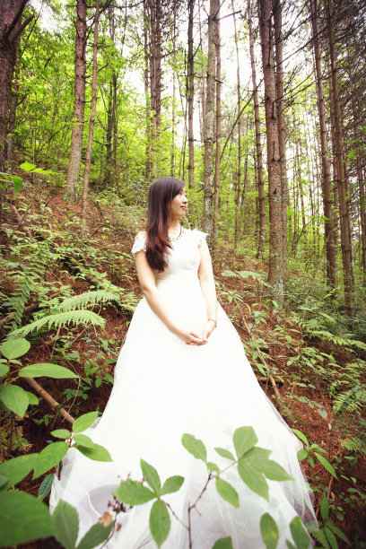 森林里的新娘图片下载