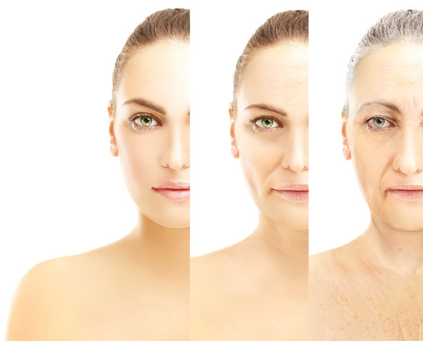 衰老的过程图片下载