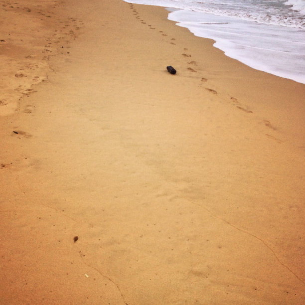 脚印在沙滩上图片下载