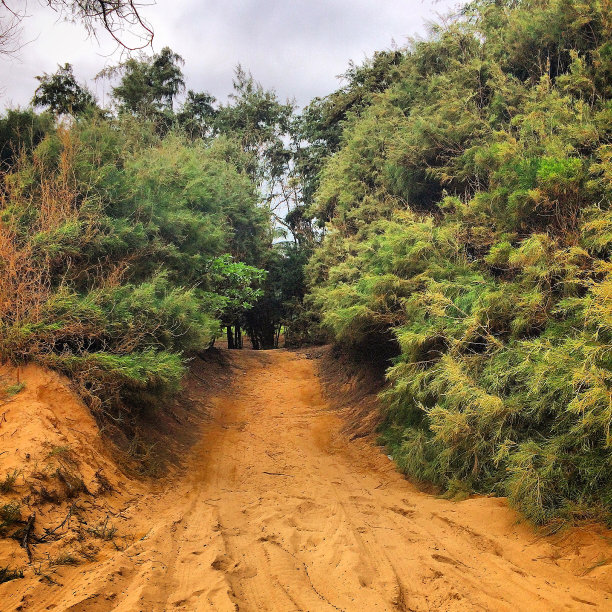 海滩上的路径图片下载