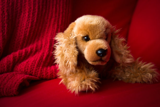 把狗玩具放在沙发上图片下载