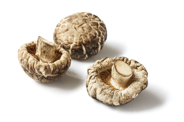 干蘑菇图片下载