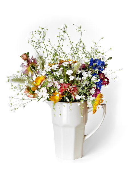 白瓶花束图片下载