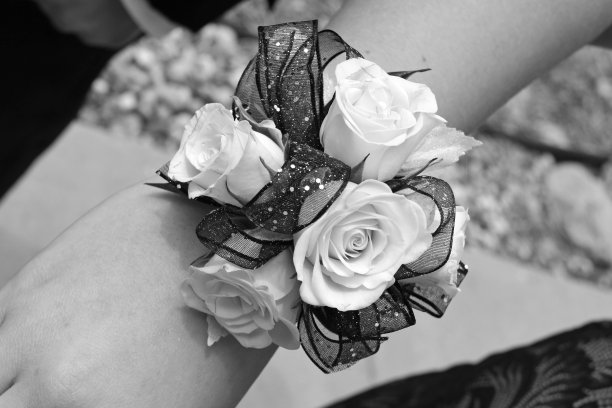 美丽的胸衣图片下载