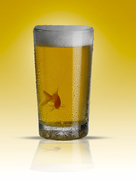 啤酒和鱼图片下载