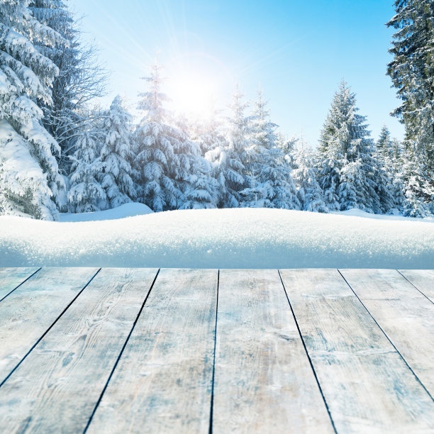 大雪节气图片素材ID：144016756