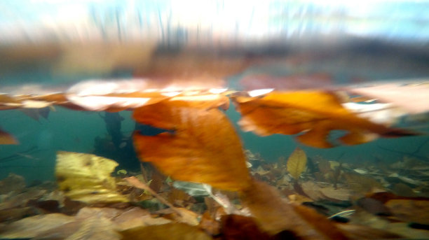 秋天的风景图片下载