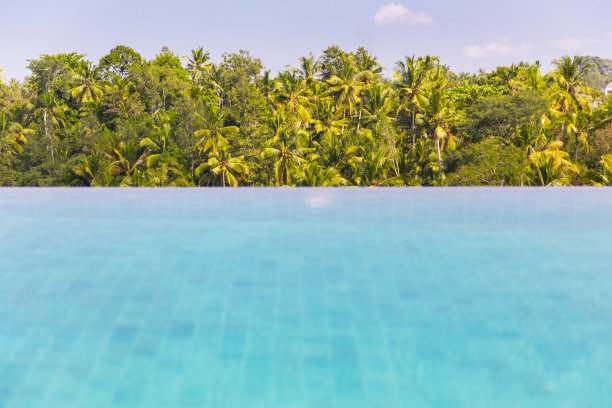 无边泳池与森林背景图片下载