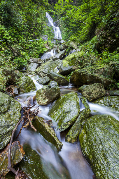 华坪自然保护区的瀑布图片下载